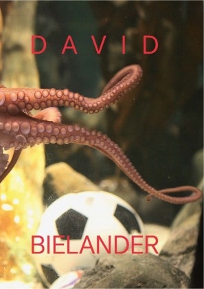 Gijs Bakker, Maria Cristina Bergesio, David Bielander, Raphael Bielander, Helen Britton, Rutger Emmelkamp... - David Bielander - Twenty Years 1996-2016  Deutsch-Englisch-Französisch