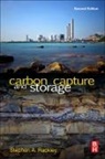 Stephen A. Rackley, Stephen A. (Independent Consultant) Rackley, Steve Rackley, Steve (Independent Consultant) Rackley, Steve A Rackley, Steve A. Rackley... - Carbon Capture and Storage