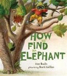 Kate Banks, Boris Kulikov, Boris Kulikov - How to Find an Elephant