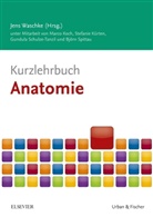 Marc Koch, Marco Koch, Stefani Kürten, Stefanie Kürten, Gundu Schulze-Tanzil, Gundula Schulze-Tanzil... - Kurzlehrbuch Anatomie