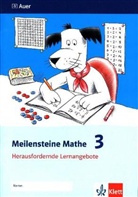 Meilensteine Mathe - 3: 3. Schuljahr, Herausfordernde Lernangebote