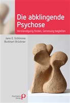 B Brückner, Burkhart Brückner, Jann Schlimme, Jann (PD Dr. med. Dr. phil. Schlimme, Jann (PD Dr. med. Dr. phil.) Schlimme, Jann E. Schlimme - Die abklingende Psychose