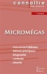Voltaire - Fiche de lecture Micromégas de Voltaire (Analyse littéraire de référence et résumé complet)