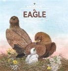 Ren&amp; Rahir, Ren'e Rahir, Renee Rahir, Renée Rahir, Rahir Renee - Eagle. Animals in the Wild