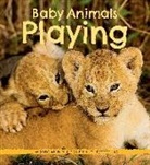 Suzi Eszterhas - BABY ANIMALS PLAYING
