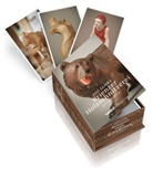 Isabelle Messerli - Brienzer Holzschnitzerei, Postkartenbuch