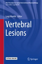 Luig Manfrè, Luigi Manfrè - Vertebral Lesions