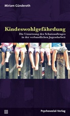 Miriam Günderoth, Ulrike Busch, Haral Stumpe, Harald Stumpe, Heinz-Jürge Voss, Heinz-Jürgen Voß... - Kindeswohlgefährdung