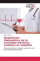 Maikel Camejo - Modelación Matemática de la actividad eléctrica cardíaca en caballos
