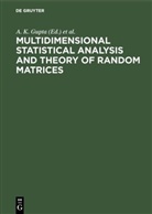 V. L. Girko, A. K. Gupta, K Gupta, A K Gupta, L Girko, L Girko - Multidimensional Statistical Analysis and Theory of Random Matrices