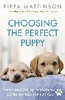 Pippa Mattinson, Mattinson Pippa - Choosing the Perfect Puppy