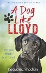 Jacqueline Sheehan, Sheehan Jacqueline - A Dog Like Lloyd