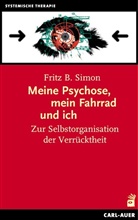 Fritz B Simon, Fritz B. Simon - Meine Psychose, mein Fahrrad und ich