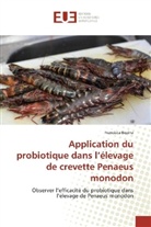 Francisca Bezina - Application du probiotique dans l'élevage de crevette Penaeus monodon