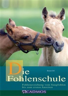 Renate Ettl - Die Fohlenschule