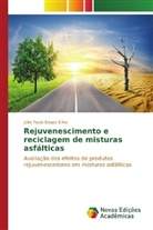 Jo&atilde;o Paulo Souza Siilva - Rejuvenescimento e reciclagem de misturas asf&aacute;lticas