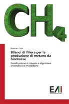 Francesco Corsi - Bilanci di filiera per la produzione di metano da biomasse