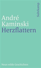 André Kaminski - Herzflattern