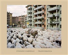 Stefano Carnelli - Transumanza