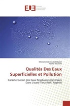 Mohamme Benabdelkader, Mohammed Benabdelkader, Fatiha Hachemi - Qualités Des Eaux Superficielles et Pollution