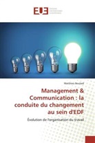 Matthieu Boulard - Management & Communication : la conduite du changement au sein d'EDF