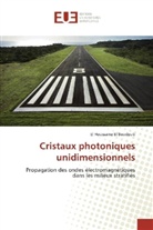 El Houssaine El Boudouti - Cristaux photoniques unidimensionnels