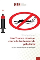 Mohamed Lamine Kourouma - Insuffisance rénale au cours du traitement du paludisme