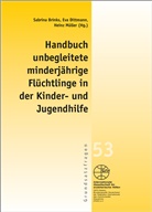 Sabrina Brinks, Ev Dittmann, Eva Dittmann, Heinz Müller - Handbuch unbegleitete minderjährige Flüchtlinge in der Kinder- und Jugendhilfe