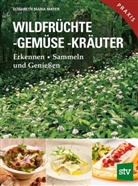 Elisabeth M. Mayer, Elisabeth Maria Mayer - Wildfrüchte, -gemüse. -kräuter