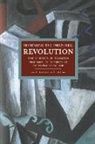 Michael Andrew Zmolek, Zmolek Michael Andrew - Rethinking The Industrial Revolution: Five Centuries Of Transition From Agrarian To Industrial Capitalism In
