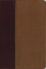 Christianity Today Intl. (EDT), Zondervan, Christianity Today Intl - Holy Bible