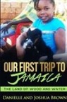 Danielle Brown, Danielle and Joshua Brown, Joshua Brown - Our First Trip To Jamaica - land of wood and water