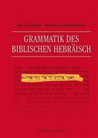 Jan P Lettinga, Jan P. Lettinga, Heinrich von Siebenthal, Heinric von Siebenthal, Heinrich von Siebenthal - Grammatik des Biblischen Hebräisch