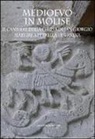 W. Angelelli, Walter Angelelli, F. Gandolfo, Francesco Gandolfo, M. Gianandrea, Manuela Gianandrea... - Medioevo in Molise. Il cantiere della chiesa di San Giorgio Martire a Petrella Tifernina