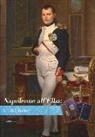 M. Guarraccino, R. Martinelli - Napoleone all'Elba. Le biblioteche