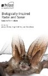 Chris Baker, Chris (Professor Baker, Alessio Balleri, Alessio (Senior Lecturer Balleri, Hugh Griffiths, Hugh (Professor Griffiths - Biologically-Inspired Radar and Sonar: Lessons from Nature