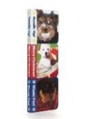 Media Lab Books - Winter Puppies Boxy Book Set