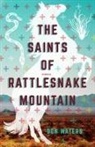 Don Waters - Saints of Rattlesnake Mountain