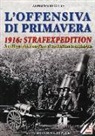 Alberto Di Gilio - L'offensiva di primavera. 1916: strafexpedition. La più grande battaglia mai combattuta in montagna
