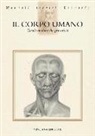 Il corpo umano. Tavole anatomiche per artisti