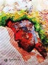 Elvio Ceci, Alessandra Romagna - Pareidolia. Vedere ciò che non c'è