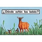 Rigby - Donde Estan Los Bebes? (Where Are the Babies?): Bookroom Package (Levels 1-2)