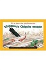 Rigby - Dinosaurio Chiquito Escapa (Little Dinosaur Escapes): Bookroom Package (Levels 17-18)