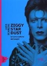 Luca Scarlini - Ziggy Stardust. La vera natura dei sogni