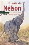 Rigby - El Susto de Nelson (Nelson Gets Fright): Bookroom Package (Levels 19-20)