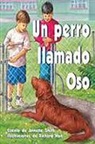 Rigby - Un Perro Llamado Oso (Dog Called Bear): Bookroom Package (Levels 19-20)