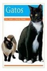 Rigby - Gatosats): Bookroom Package (Levels 15-16)