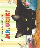 David Wiesner - Mr. Ubik!