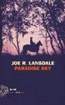Joe R. Lansdale - Paradise Sky