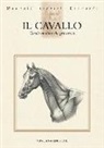 Il cavallo. Tavole anatomiche per artisti